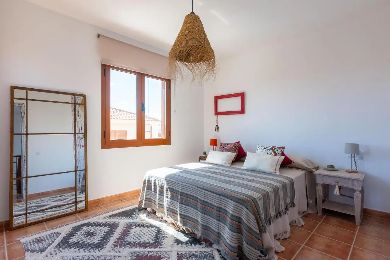Alcaudon Holidayfv Corralejo