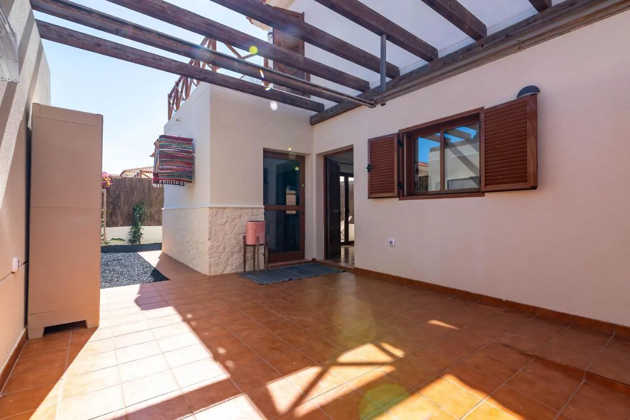 Alcaudon Holidayfv Corralejo